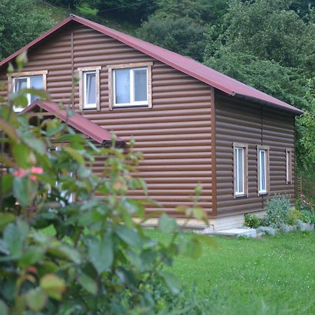 Pid Lisochkom Verchovyna Exteriér fotografie